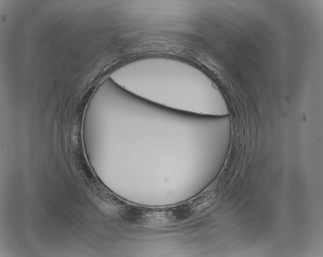 X0000067480499200604070931