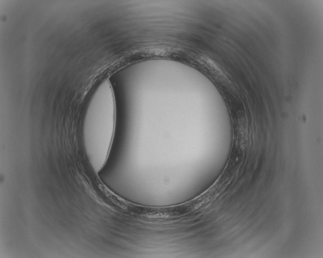 X0000067480500200604070931