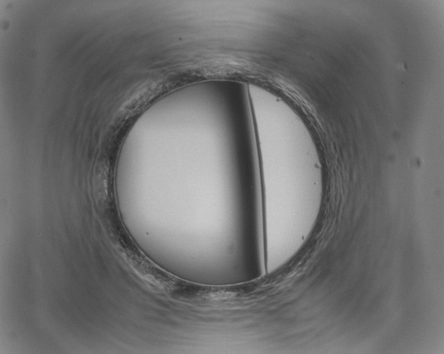 X0000067480501200604070931