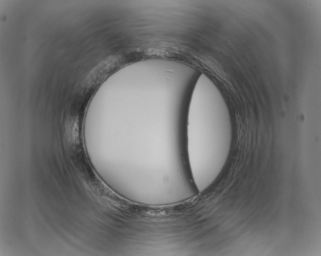 X0000067480502200604070931