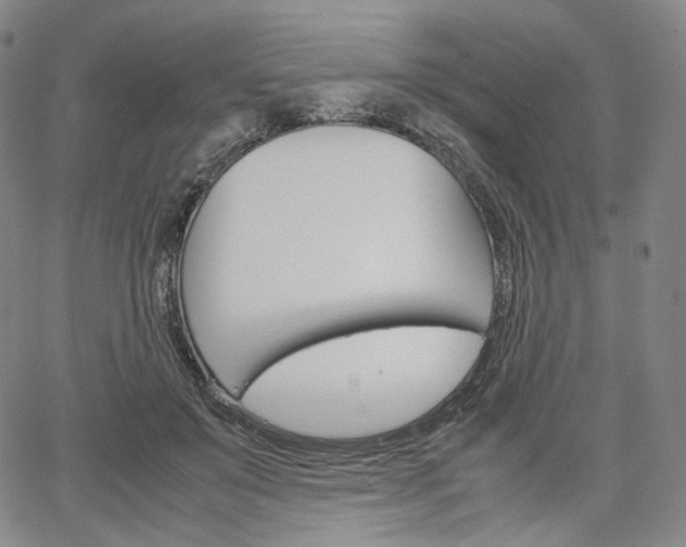 X0000067480503200604070931