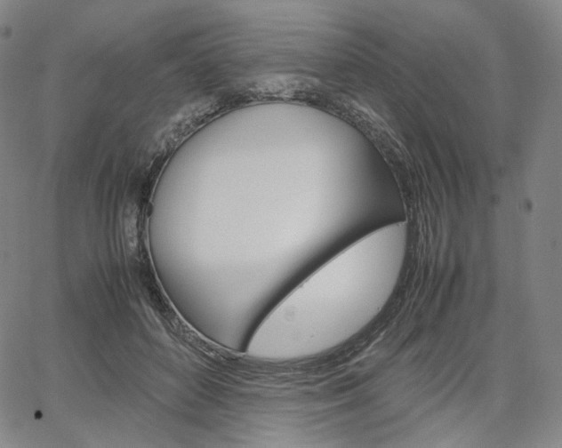 X0000067480504200604070931