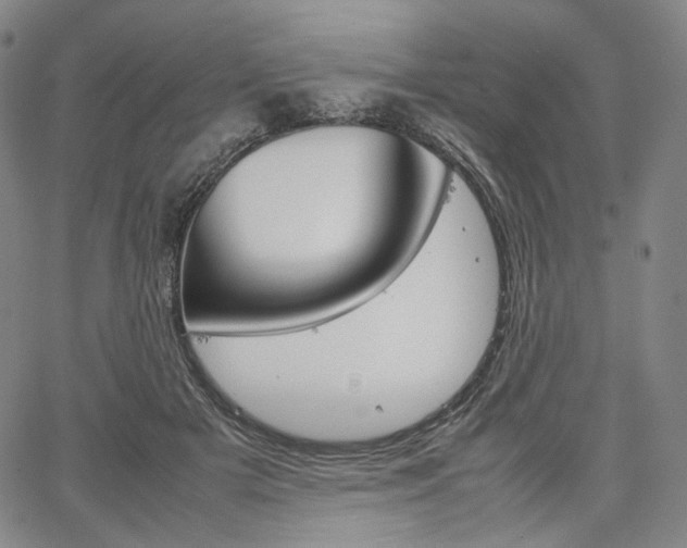 X0000067480505200604070931