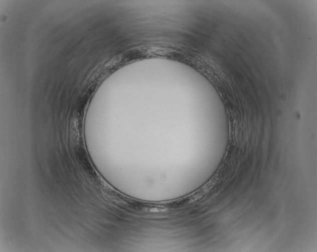 X0000067480506200604070931