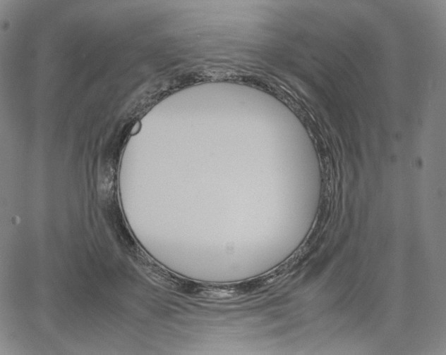 X0000067480507200604070931