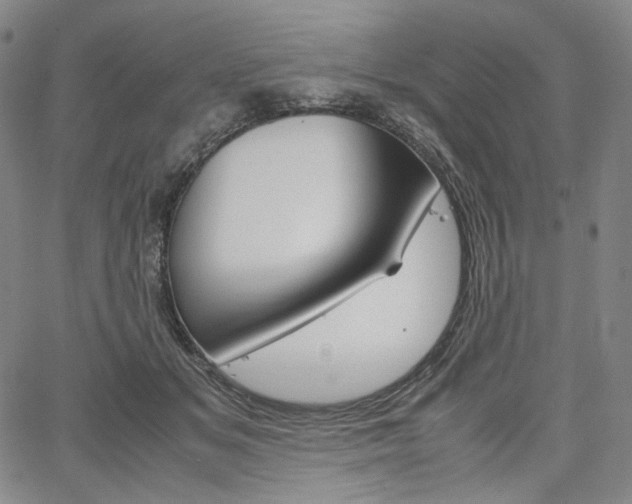 X0000067480509200604070931