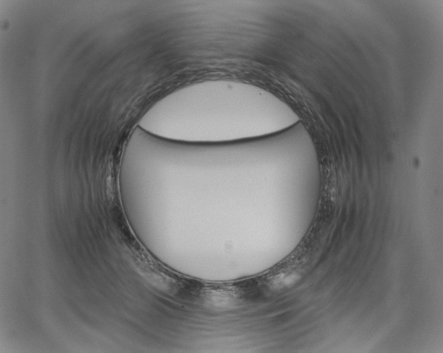 X0000067480510200604070931