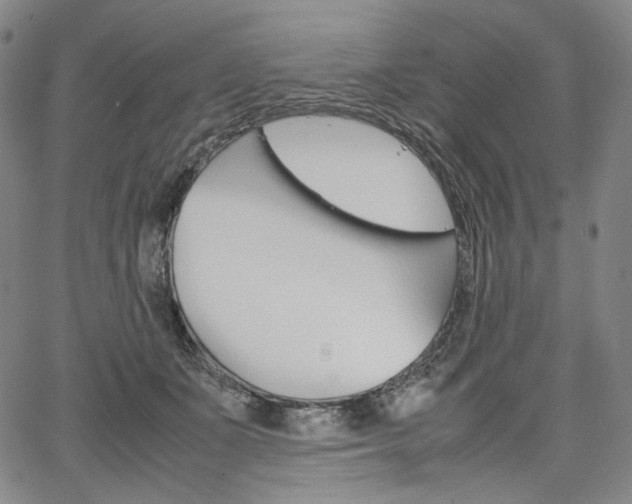 X0000067480511200604070931