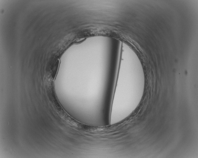 X0000067480513200604070931