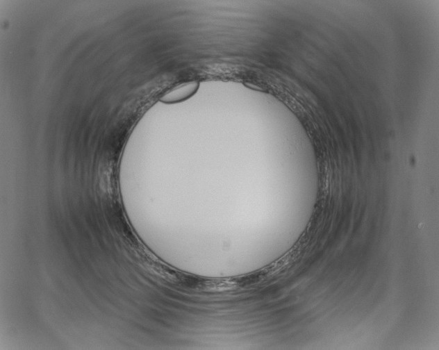 X0000067480514200604070931