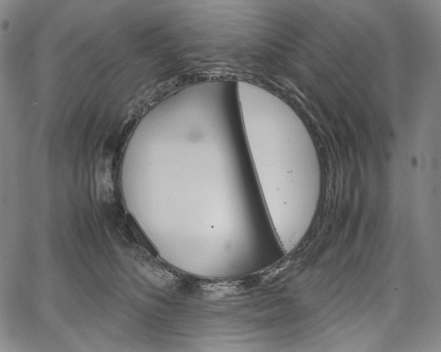 X0000067480516200604070931