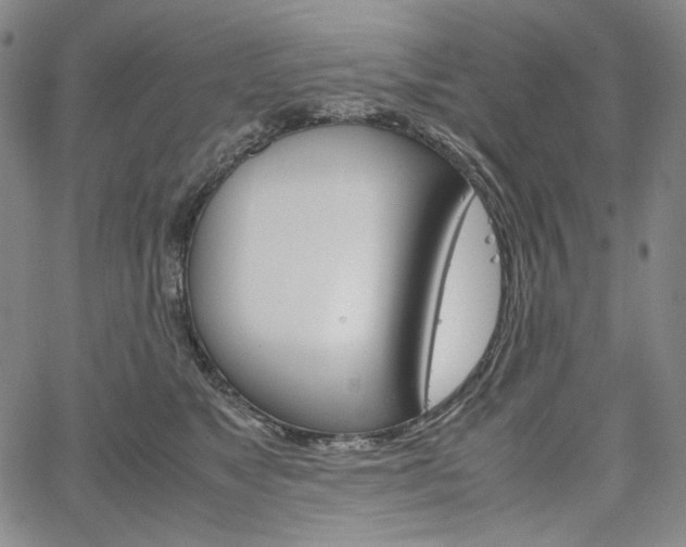 X0000067480517200604070931