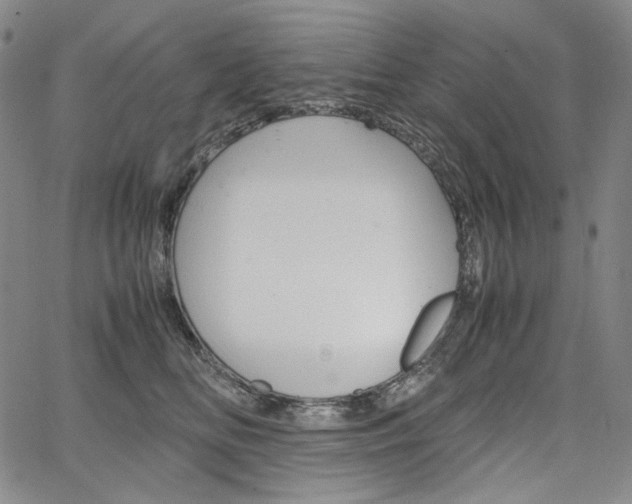 X0000067480518200604070931