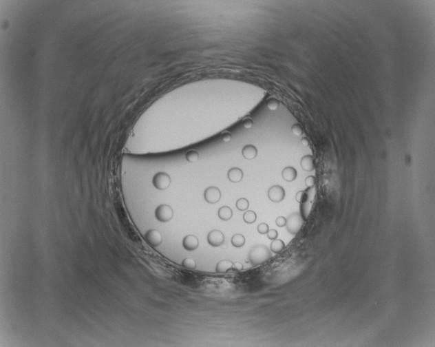 X0000067480519200604070931