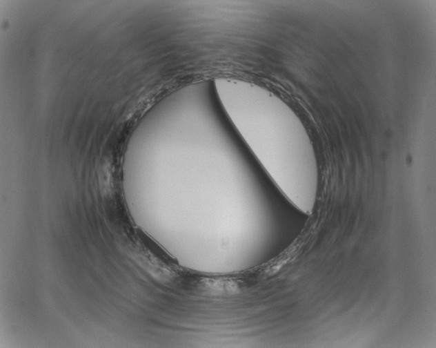 X0000067480520200604070931