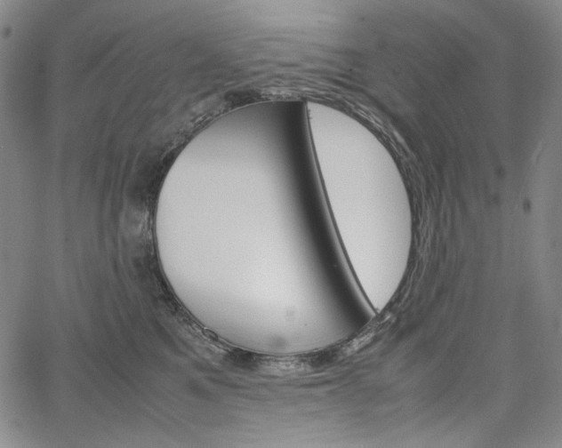 X0000067480521200604070931