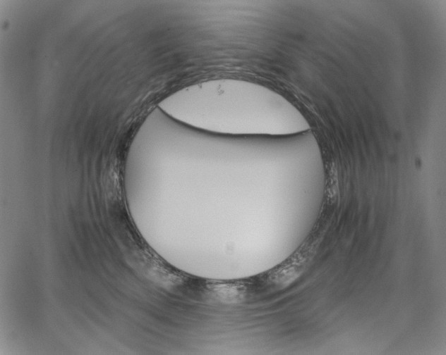 X0000067480522200604070931