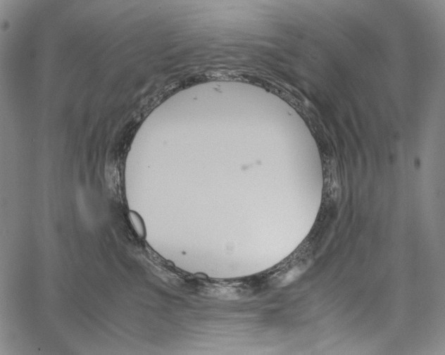 X0000067480523200604070931