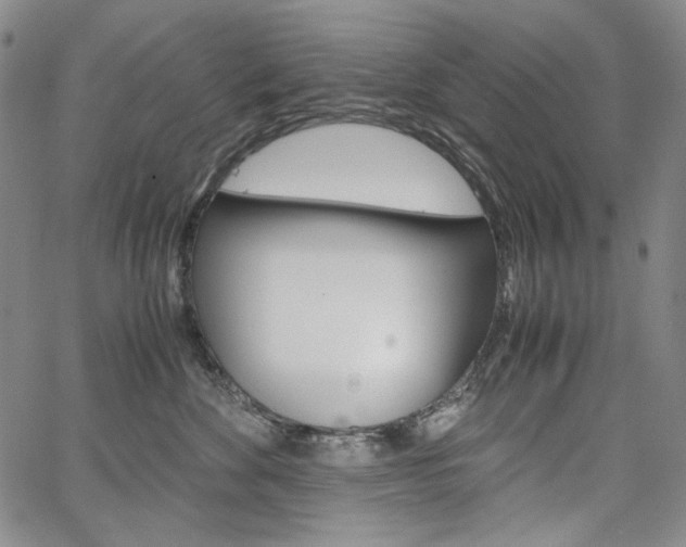 X0000067480524200604070931