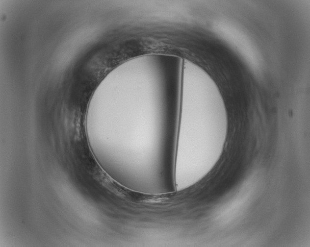 X0000067480525200604070931