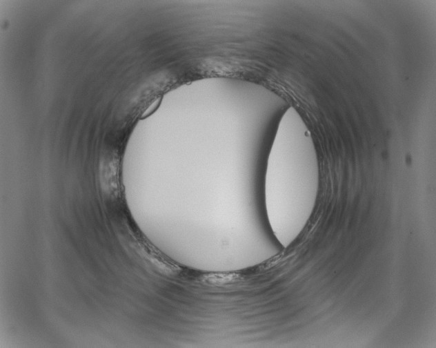 X0000067480526200604070931