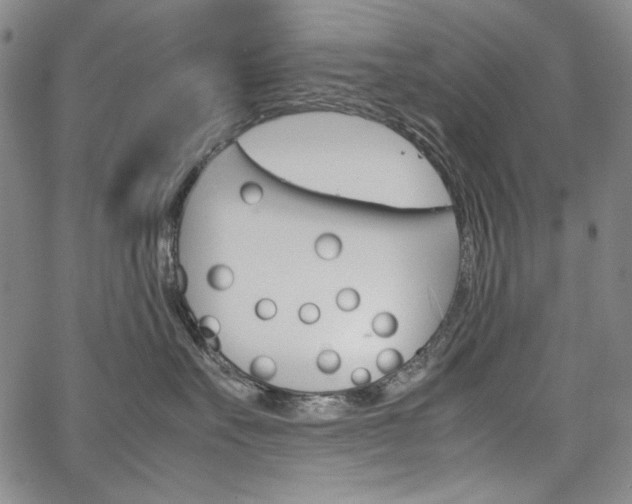 X0000067480527200604070931