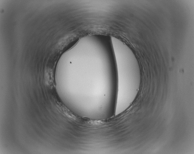 X0000067480528200604070931