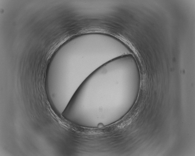 X0000067480529200604070930