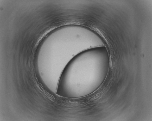 X0000067480531200604070930