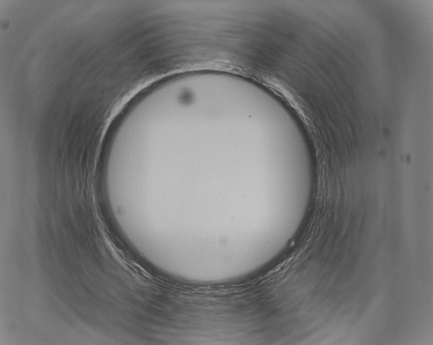 X0000067480532200604070930