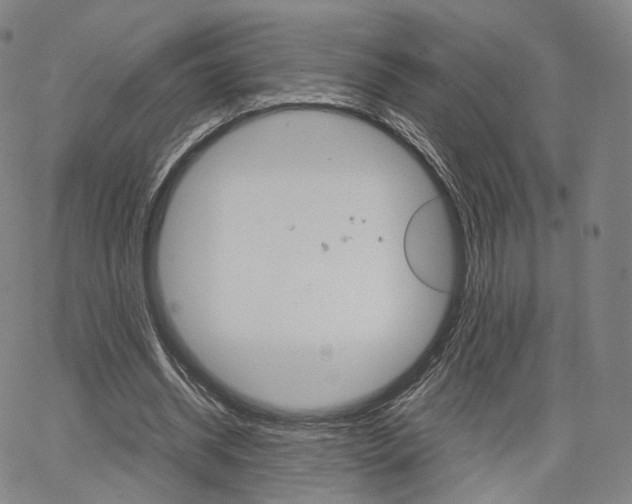 X0000067480534200604070930