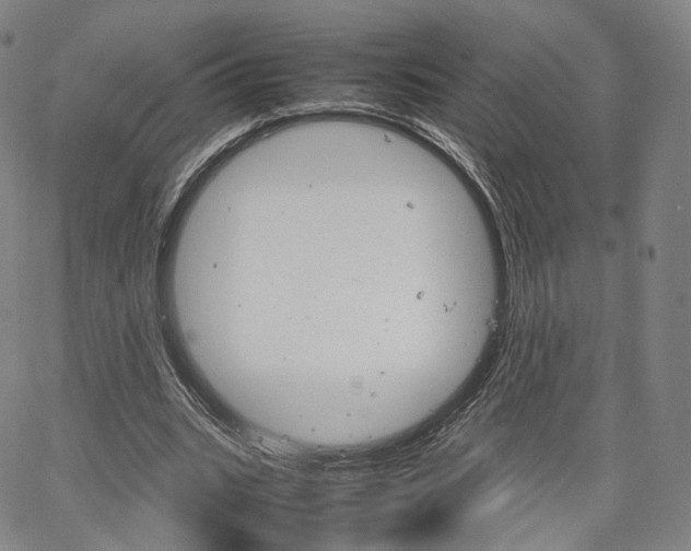 X0000067480535200604070930