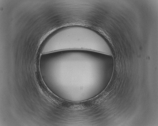 X0000067480536200604070930