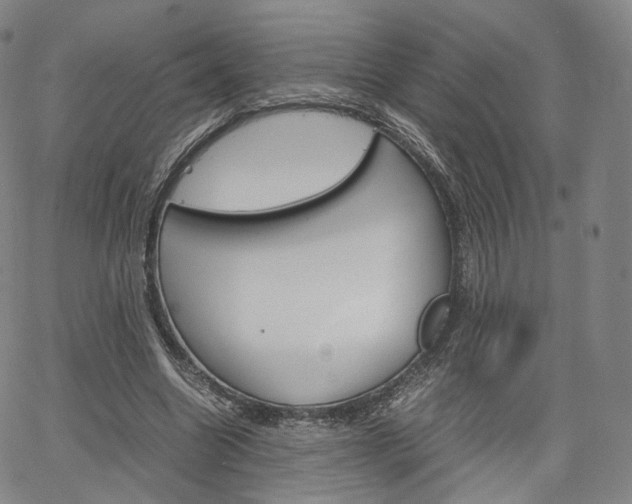 X0000067480538200604070930