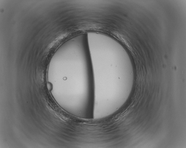 X0000067480539200604070930