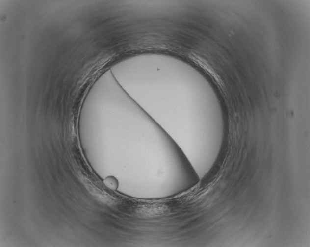 X0000067480541200604070930