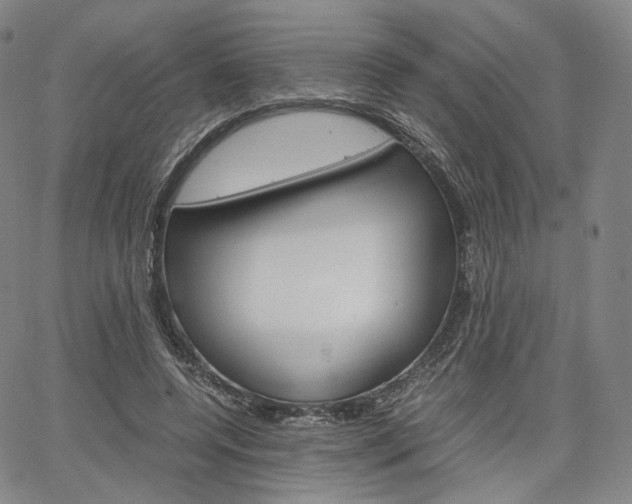 X0000067480544200604070930