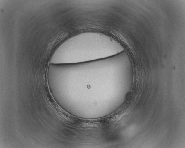 X0000067480545200604070930