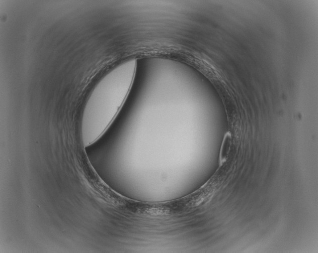 X0000067480546200604070930