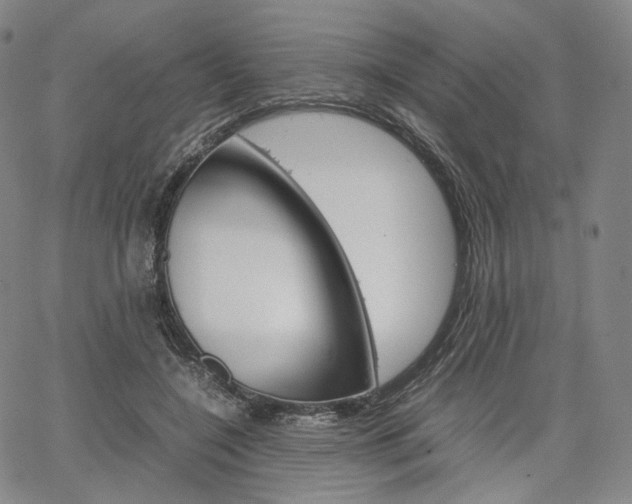 X0000067480548200604070930