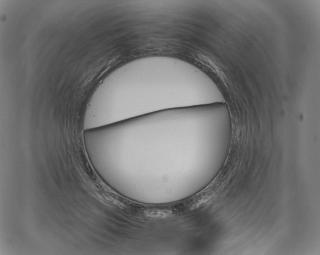 X0000067480549200604070930