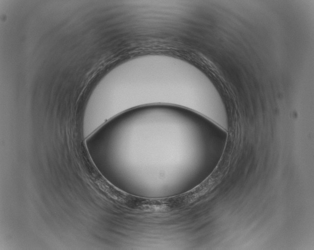 X0000067480552200604070930