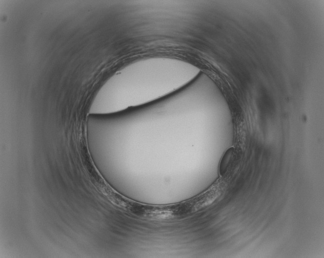X0000067480554200604070930