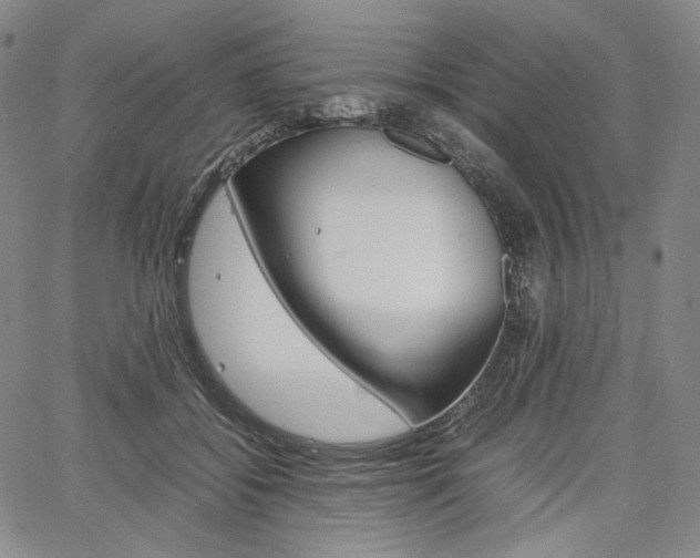 X0000067480556200604070930