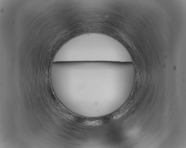 X0000067480557200604070930