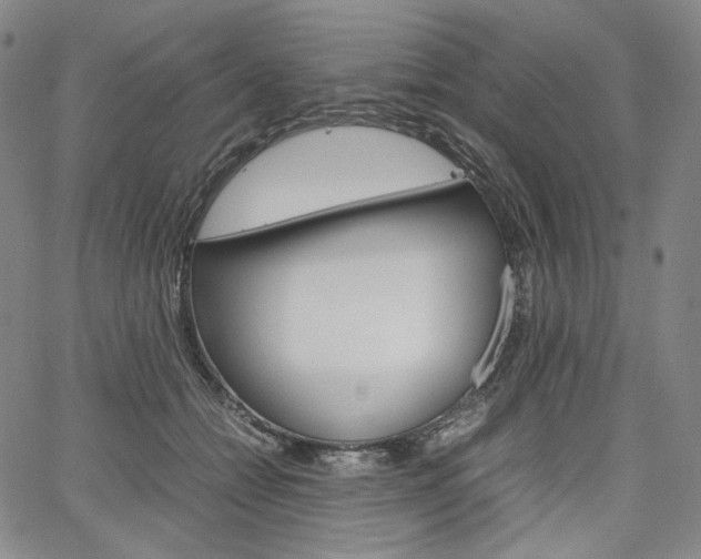 X0000067480558200604070930