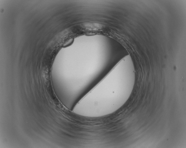 X0000067480559200604070930