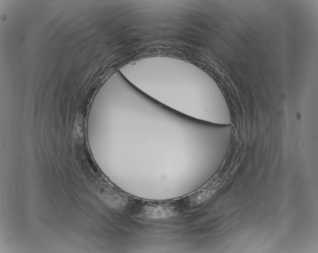 X0000067480561200604070930