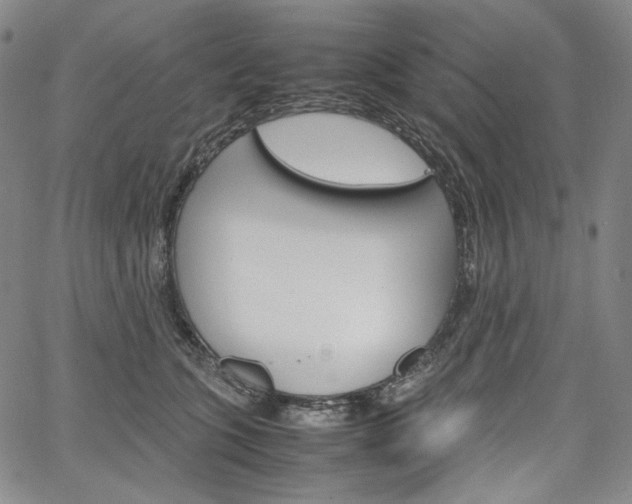 X0000067480563200604070930