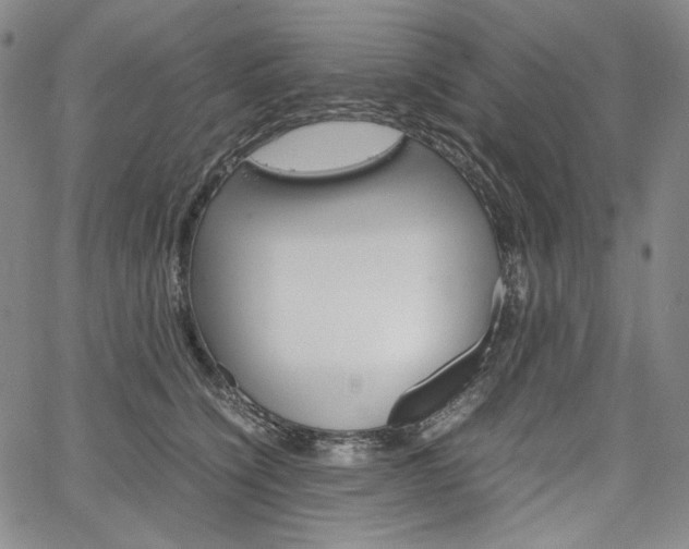 X0000067480564200604070930